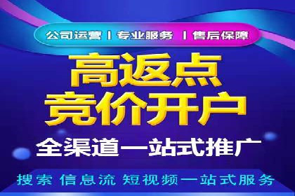 移动支付中充值返点模式探究